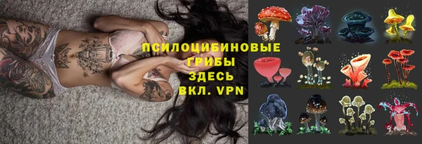 дурь Абаза
