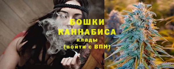 ПСИЛОЦИБИНОВЫЕ ГРИБЫ Переславль-Залесский